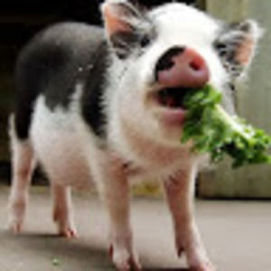 Meet your Posher, Raquel